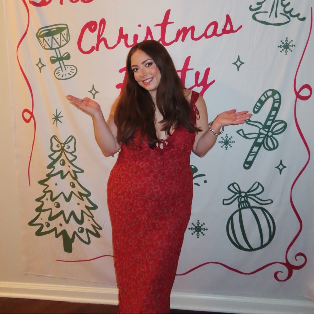 wild fable Red Lace Maxi Dress